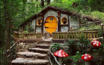 Sapanca- Maşukiye Turu